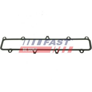FT49541 Gasket, intake manifold