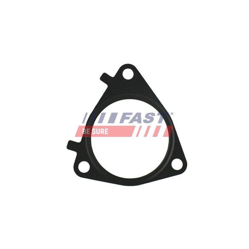 FT49546 Gasket, EGR valve