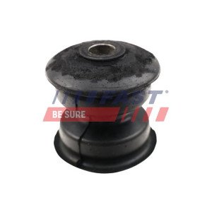 FT13707 Bushing, leaf spring