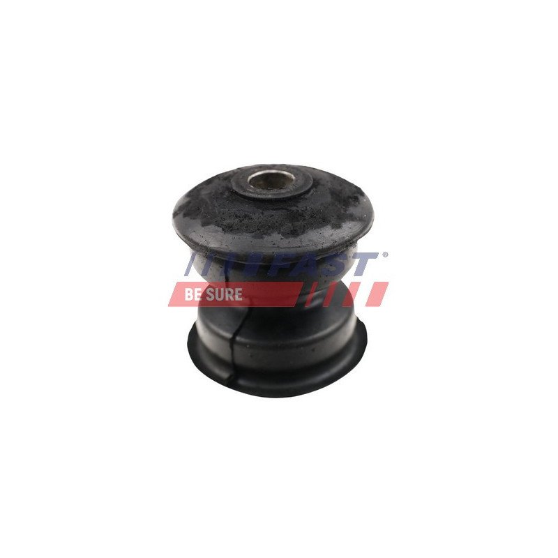 FT13707 Bushing, leaf spring