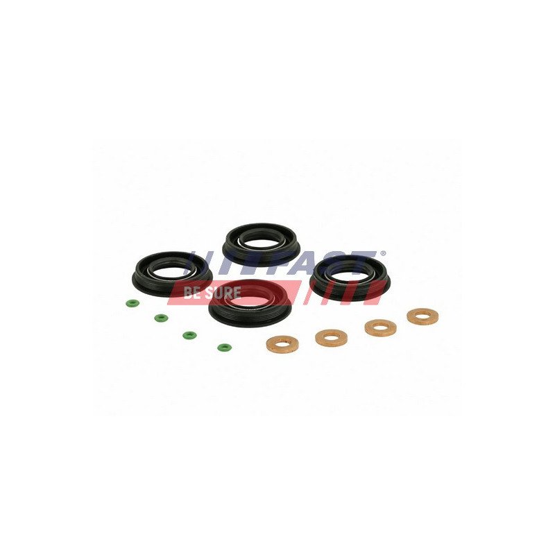FT49700 Seal Kit, injector nozzle