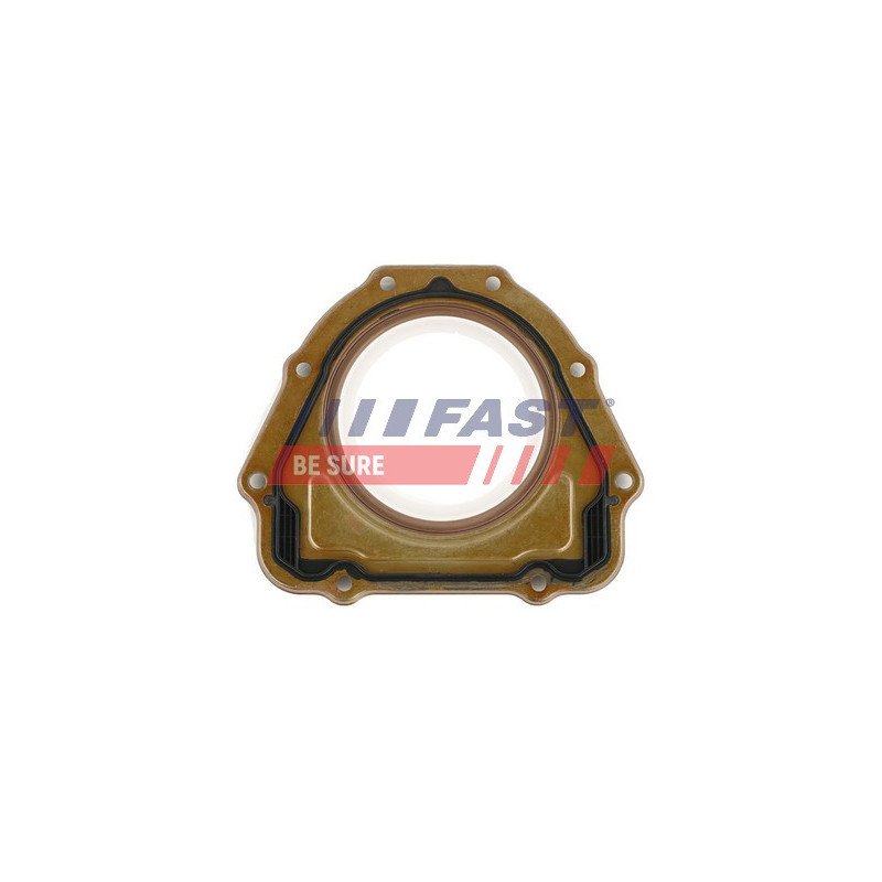 FT49815 Shaft Seal, crankshaft