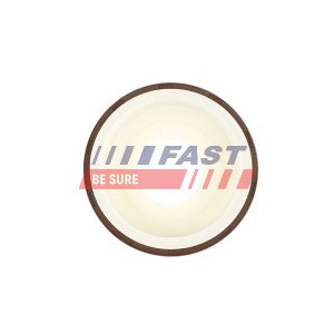 FT49817 Shaft Seal, crankshaft