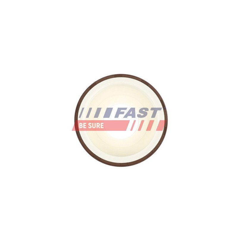 FT49817 Shaft Seal, crankshaft
