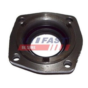 FT49838 Shaft Seal, manual transmission