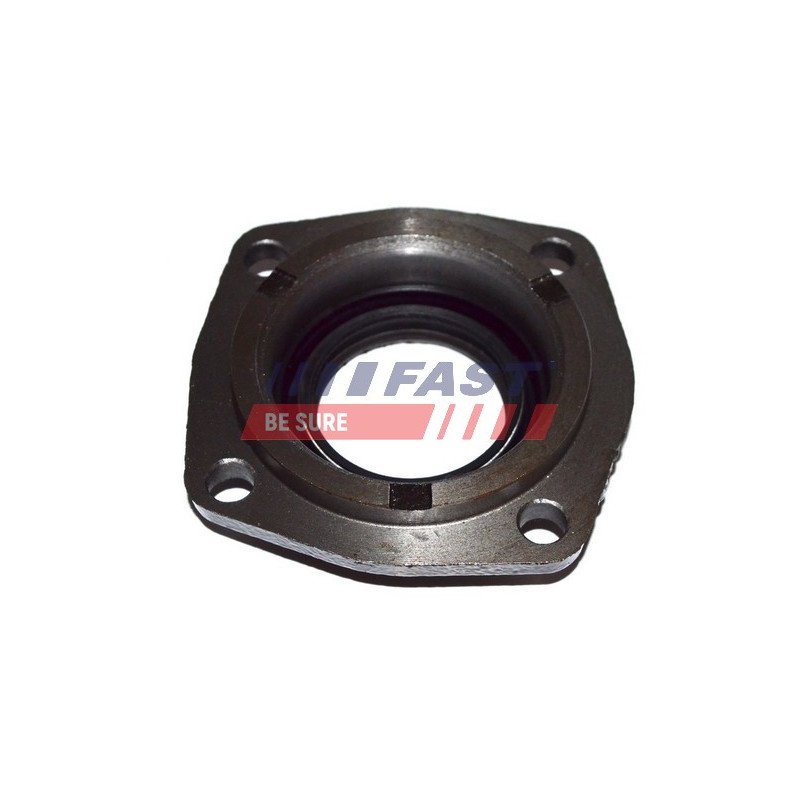 FT49838 Shaft Seal, manual transmission