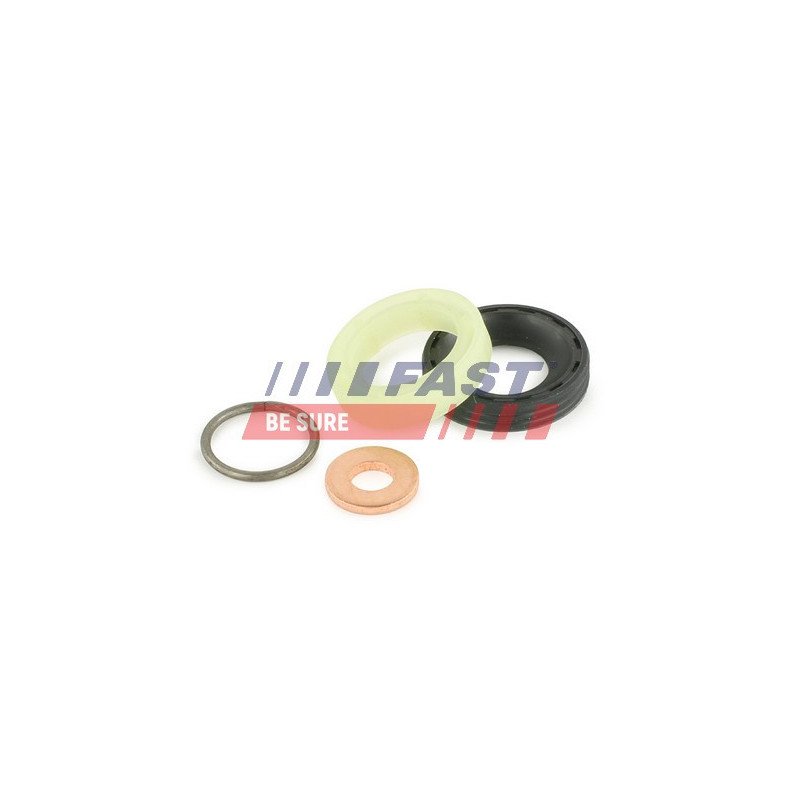 FT49842 Seal Kit, injector nozzle
