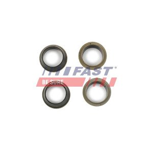 FT49843 Seal Kit, injector nozzle