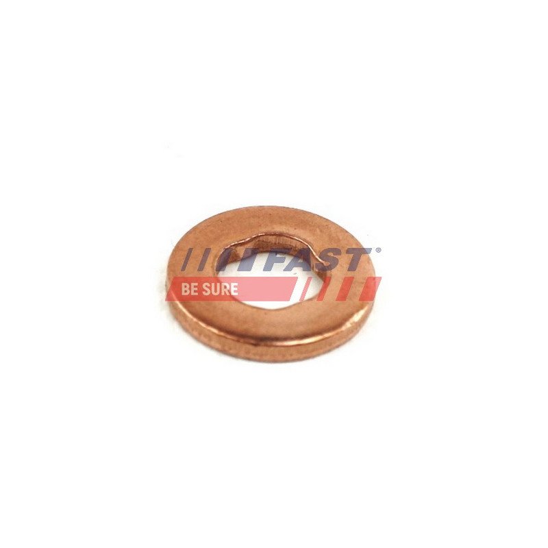 FT49846 Heat Shield, injection system