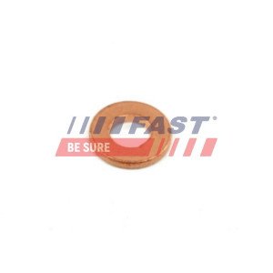 FT49848 Heat Shield, injection system