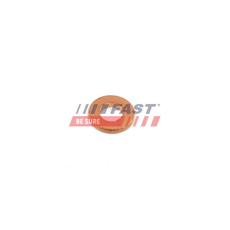 FT49848 Heat Shield, injection system
