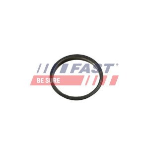 FT49853 Gasket, vacuum pump