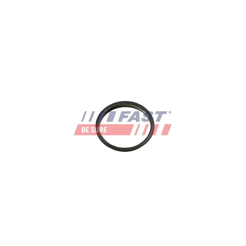 FT49853 Gasket, vacuum pump