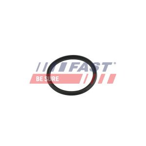 FT49854 Seal Ring, charge air hose