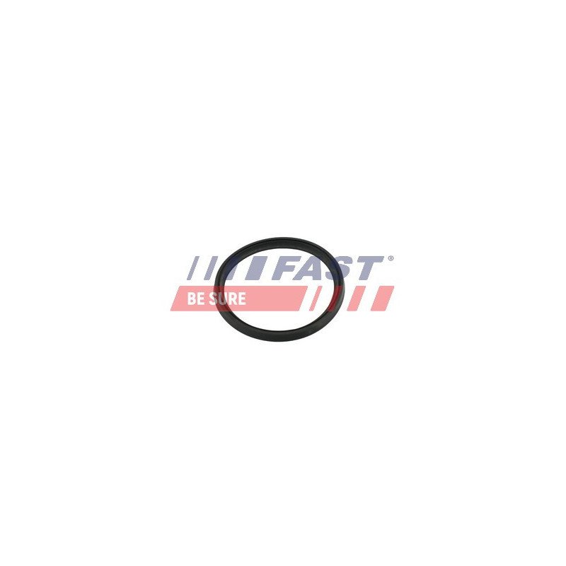 FT49854 Seal Ring, charge air hose