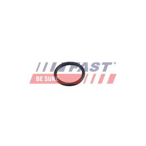 FT49856 Gasket, coolant pipe