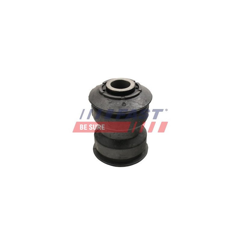 FT13801 Bushing, leaf spring