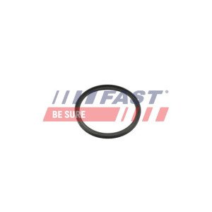 FT49857 Seal Ring, charge air hose