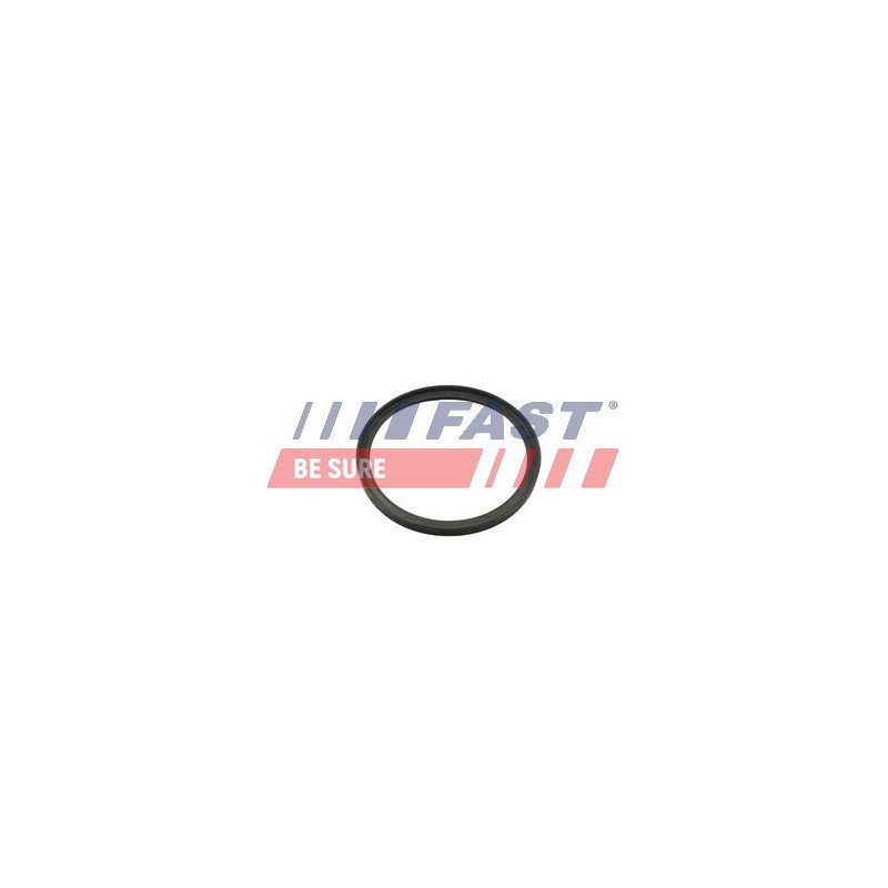 FT49857 Seal Ring, charge air hose