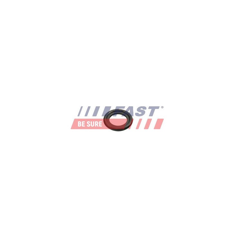 FT49860 Seal Ring, oil drain plug