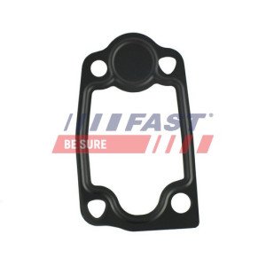 FT49903 Seal, thermostat