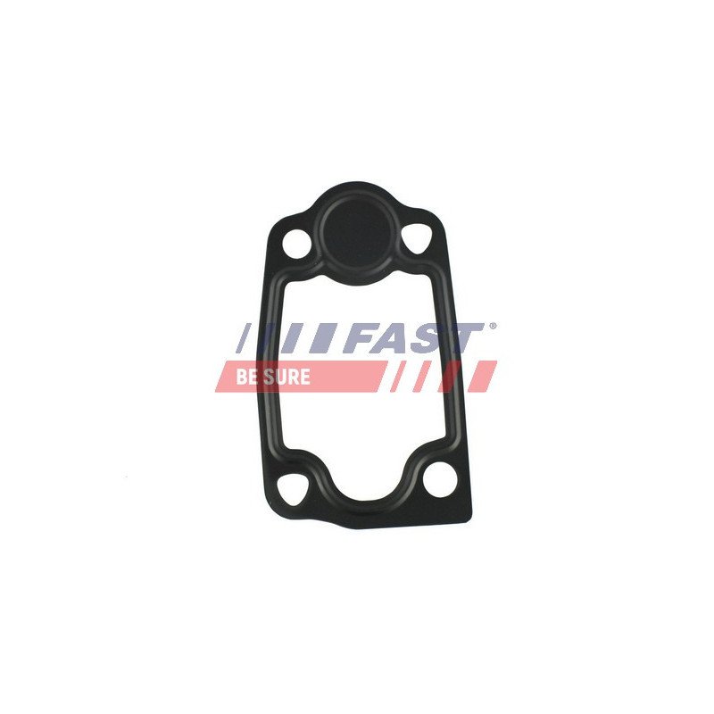 FT49903 Seal, thermostat