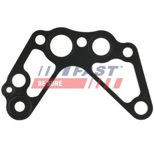 FT49907 Gasket, oil pump