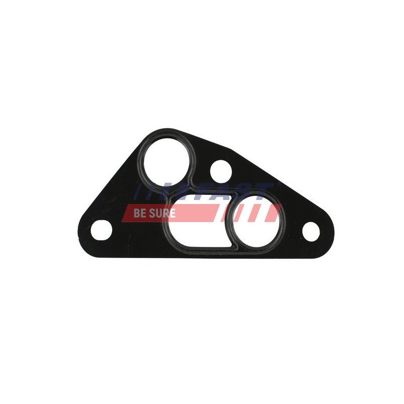 FT49913 Gasket, oil cooler