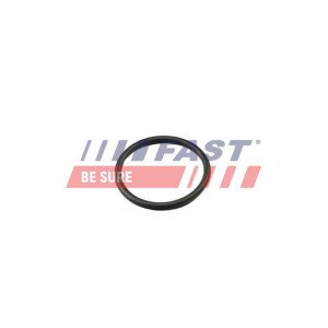 FT49917 Seal, thermostat