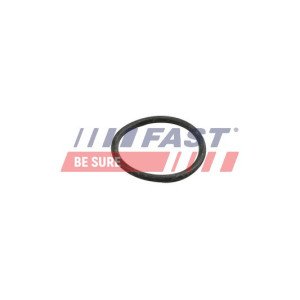 FT49918 Gasket, coolant pipe