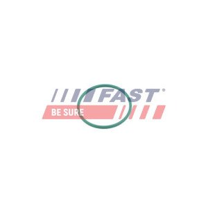 FT49921 Seal Ring, charge air hose