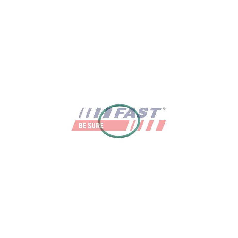 FT49921 Seal Ring, charge air hose