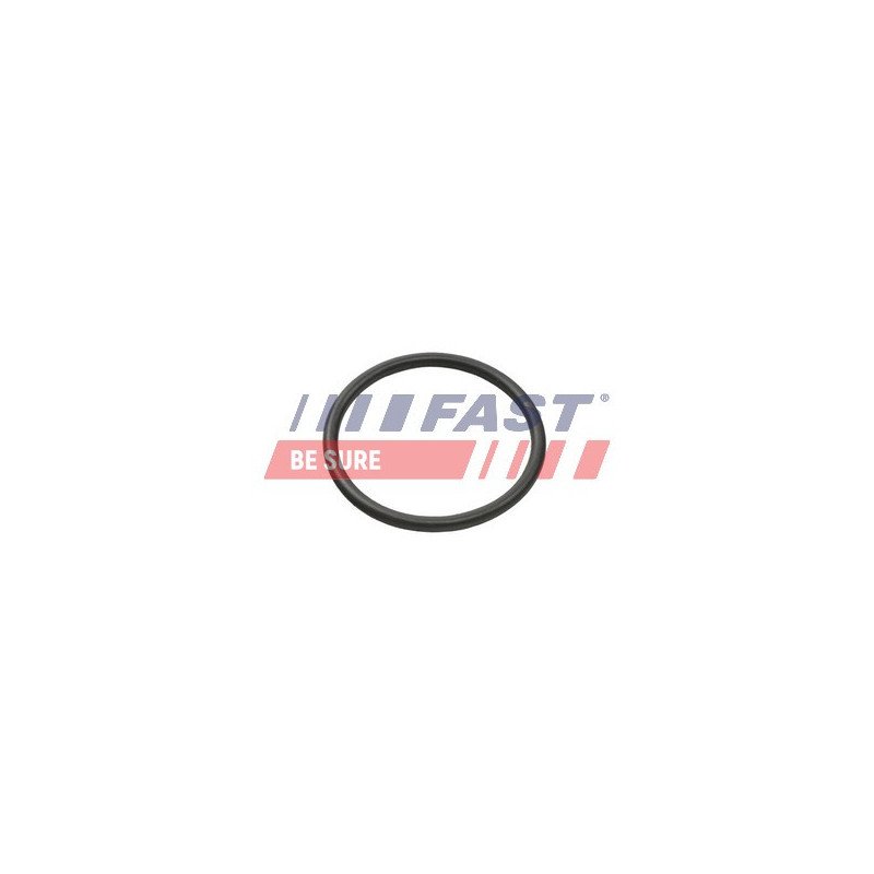FT49935 Seal Ring, charge air hose