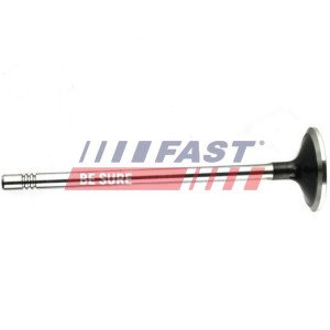 FT50132 Exhaust Valve