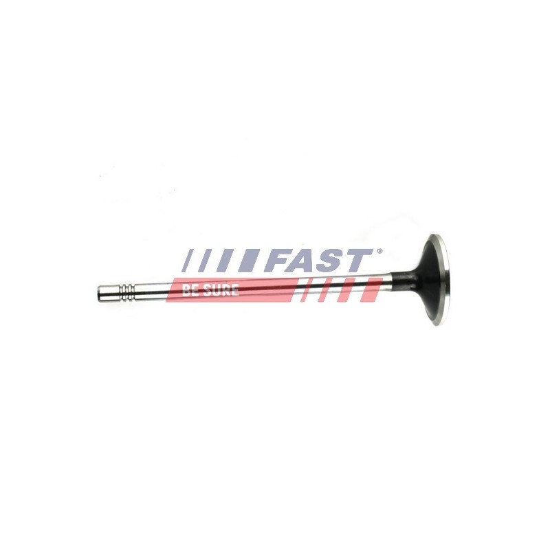 FT50132 Exhaust Valve