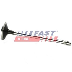 FT50133 Intake Valve