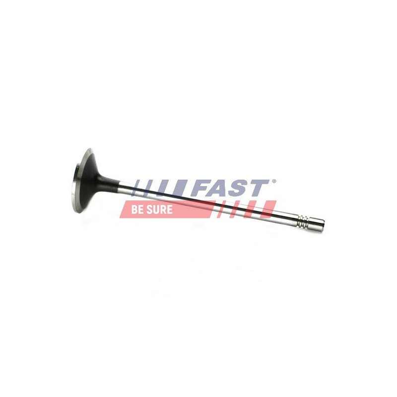FT50133 Intake Valve