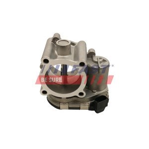 FT50424 Throttle Body
