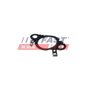 FT50604 Gasket, EGR valve