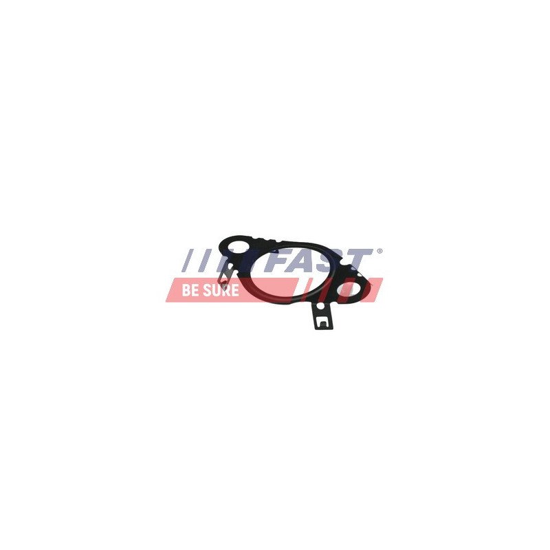 FT50604 Gasket, EGR valve