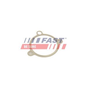 FT50605 Gasket, EGR valve