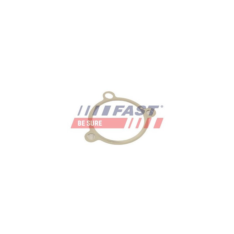 FT50605 Gasket, EGR valve