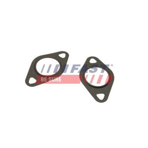 FT50608 Gasket, EGR valve