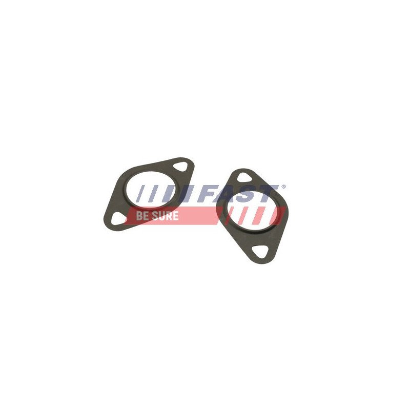 FT50608 Gasket, EGR valve
