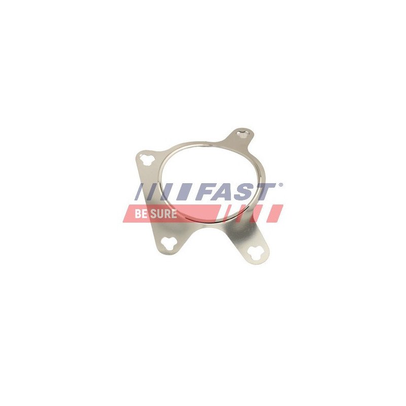 FT50613 Gasket, EGR valve