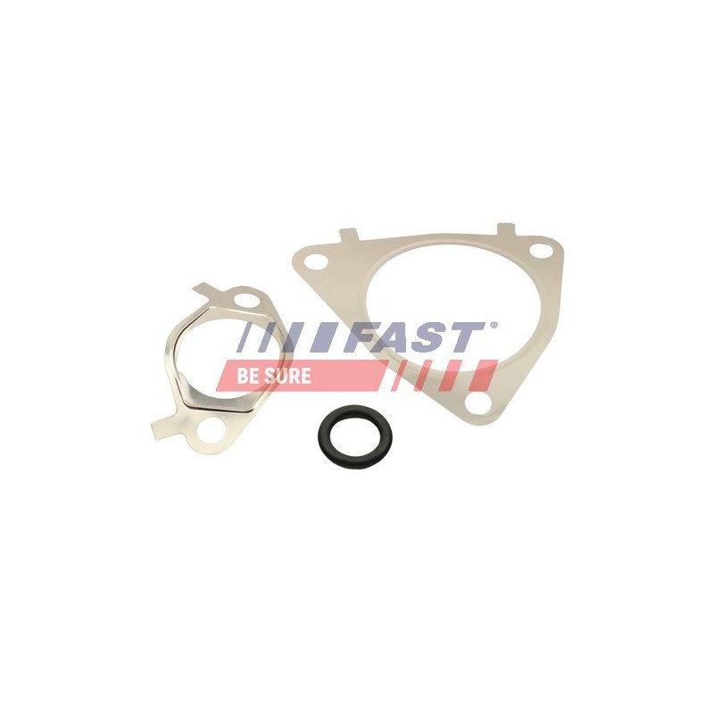 FT50617 Gasket Set, EGR system