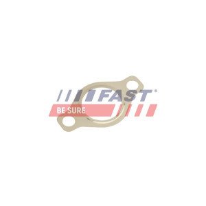 FT50618 Gasket, EGR valve