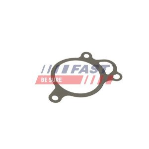 FT50619 Gasket, EGR valve