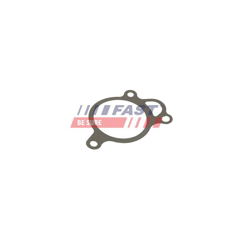 FT50619 Gasket, EGR valve