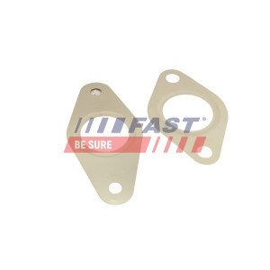 FT50621 Gasket Set, EGR system
